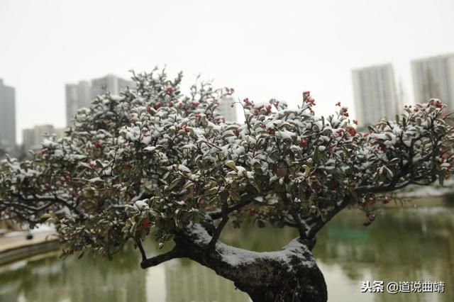 a80887e1ed9a42e8a1128c15730099d4