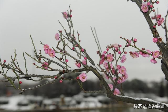 e34bfab2bf024a33851f78e4c008db5c