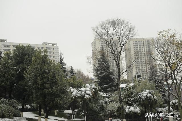 1a82e2e921c04828816e5b29d52a93fa