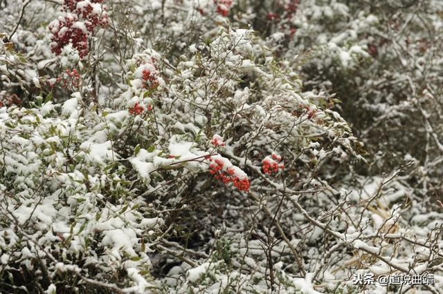 4a7a1e7ef35c4a31bd7d611570c82ee1