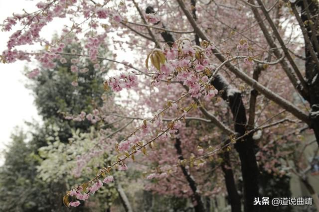 be980f7287a742ada03dce24faceb1eb