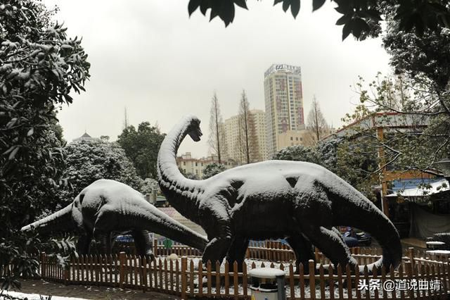 c09df4a31a564852a4837a1a66900fca