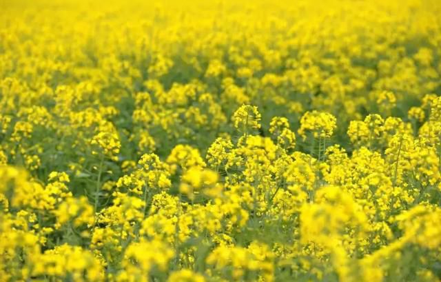 eae0451e4e8b43388f785b60d1a6f4df