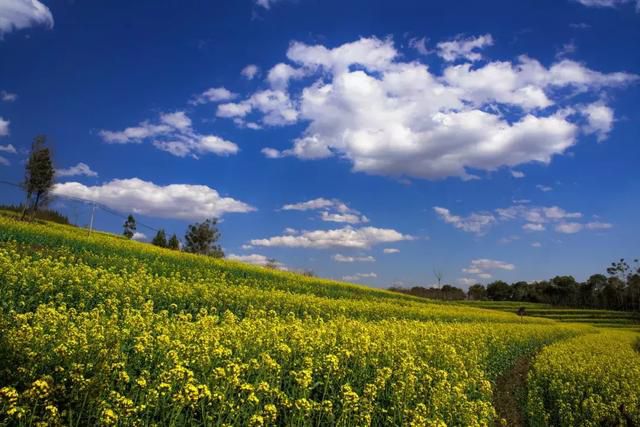 6e5aeba5689245928d91610982fdc425