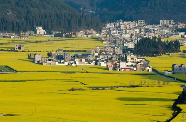 19734805aca54605abdb49b17b1cf9f2