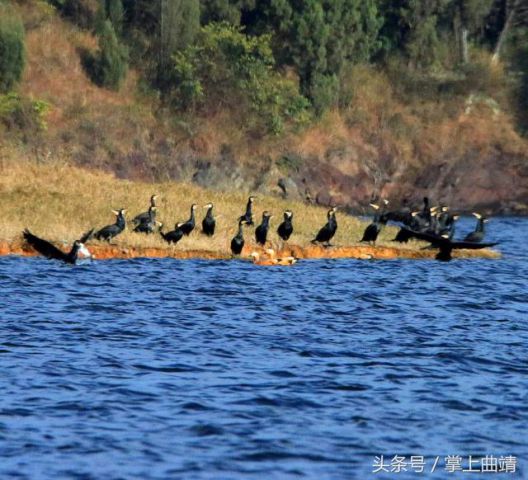 4ae00001500a38990f2f