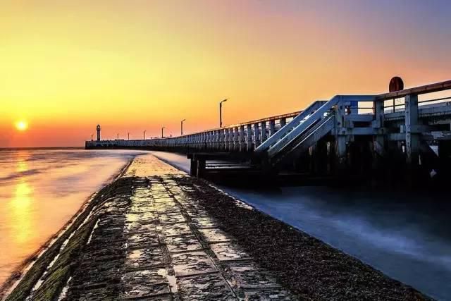 152627536689749c736909d